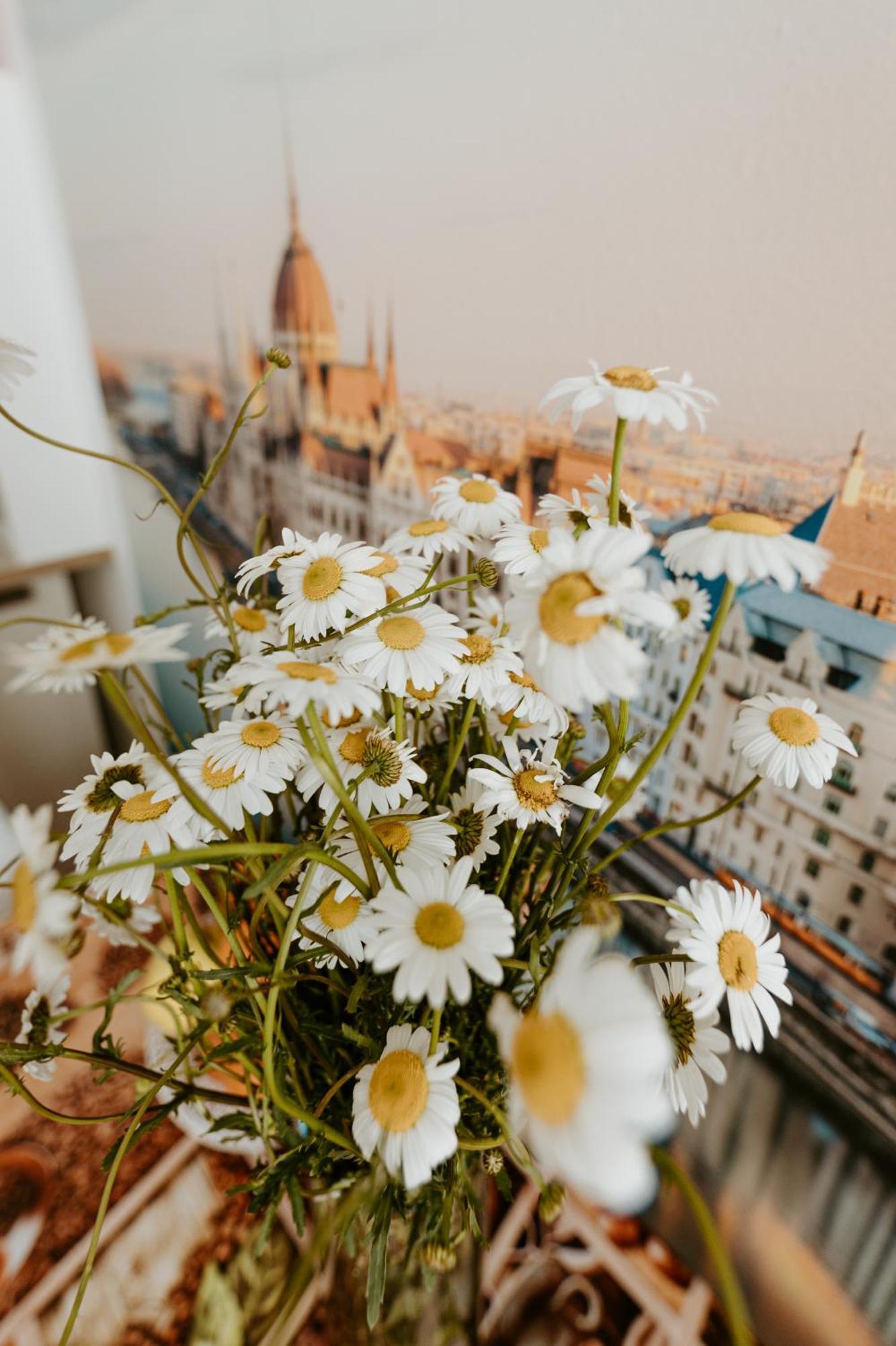 Margaret & Violet Apartments - Peaceful Stay Downtown Βουδαπέστη Εξωτερικό φωτογραφία